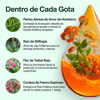 Drenaje Linfático Drenova — Gotas Naturales